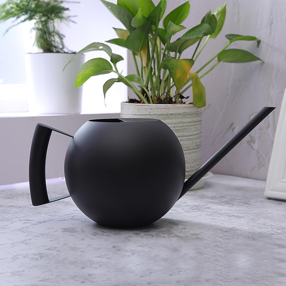 Chemlliy Watering Can with Long Spout and Comfortable Handle, 35 oz/1000ml Small Watering Can for Indoor Plants, Stainless Steel Garden Watering Pot for Indoor House Plants Bonsai Flower Decorative