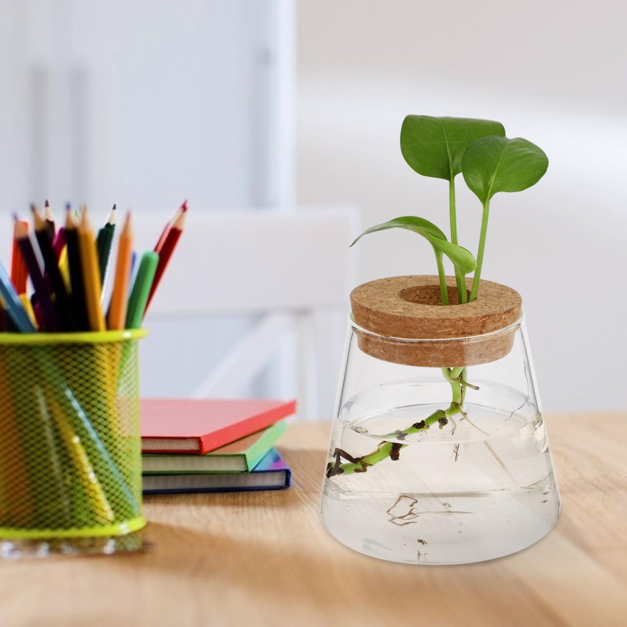 Garneck 2Pcs Desktop Glass Terrarium Transparent Glass Hydroponic Planter Vase Set Micro Landscape Terrarium Container for Home and Office Decor