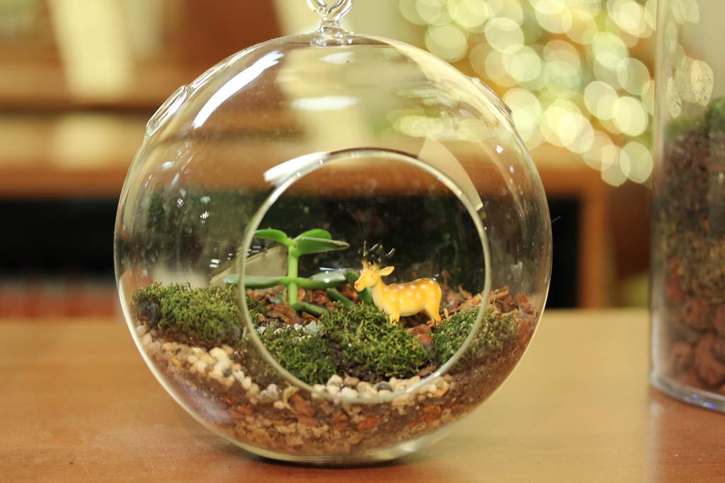 WGVI WGV Hanging Terrarium Globe, Width 7", Height 8", DIY Air Succulent Planter, Clear Glass Vase Orb with Flat Bottom, Candle Holder for Windowsill Outdoor Garden Decor, 1 Piece