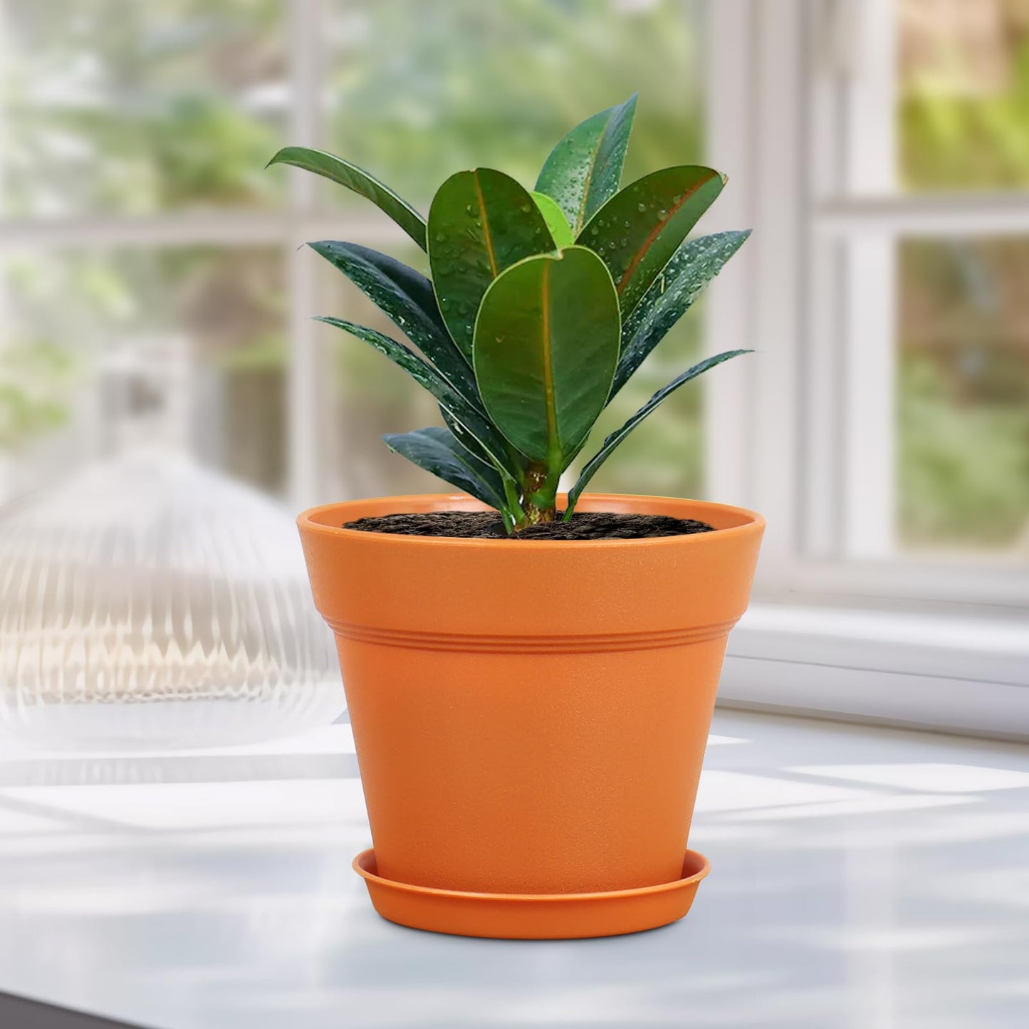 Meowell 6 inch Plastic Nursery Pots, 16 Pack Plant Pots for Indoor Outdoor Plants, Flower Pots with Drainage Holes and Saucers, Decorative Seedling Starter Planters for House Plants, Terracotta