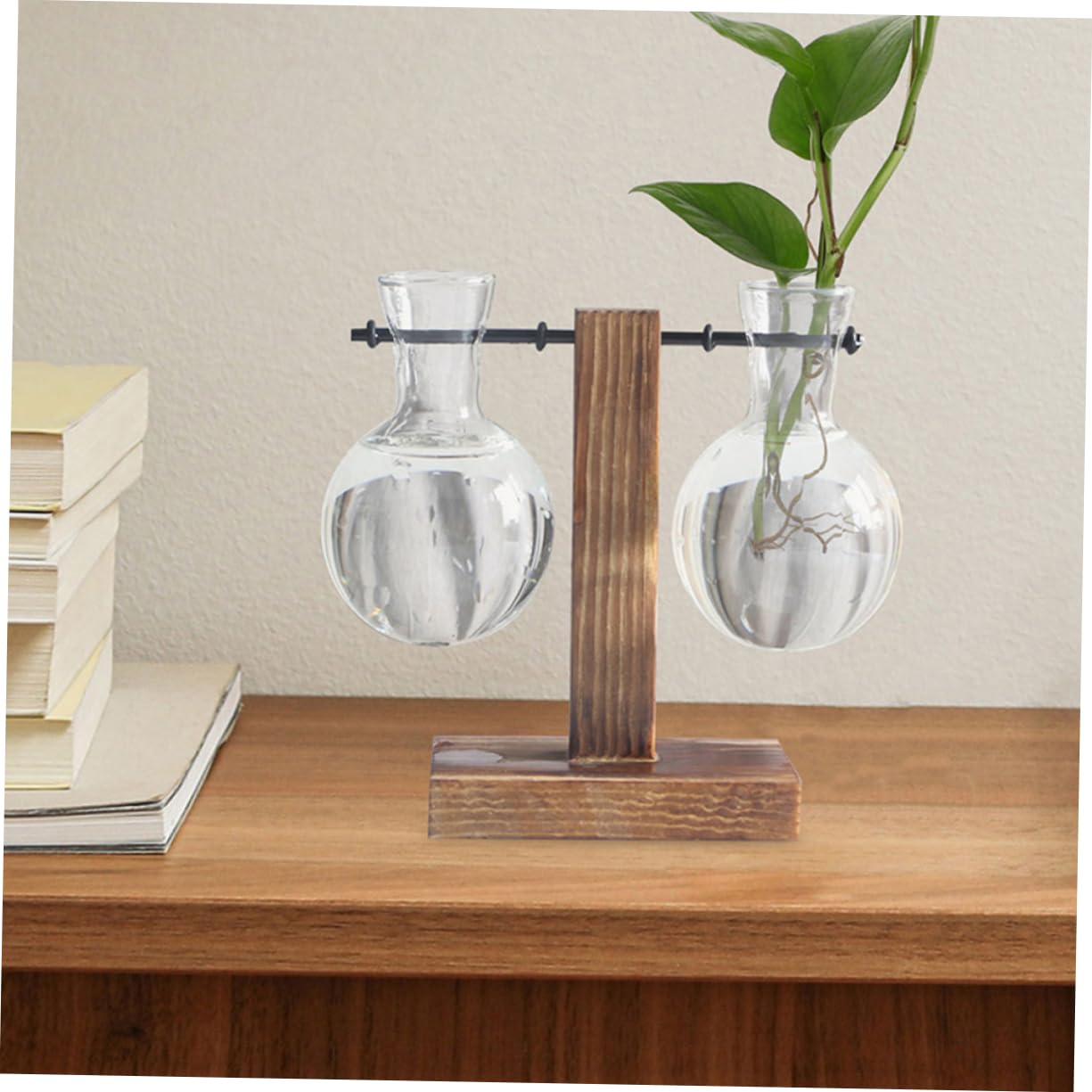 BESTOYARD 3pcs Hydroponic Propagation Vase Clear Glass Terrariums Stand for Plant Displays for Home Decor and Floral Arrangements