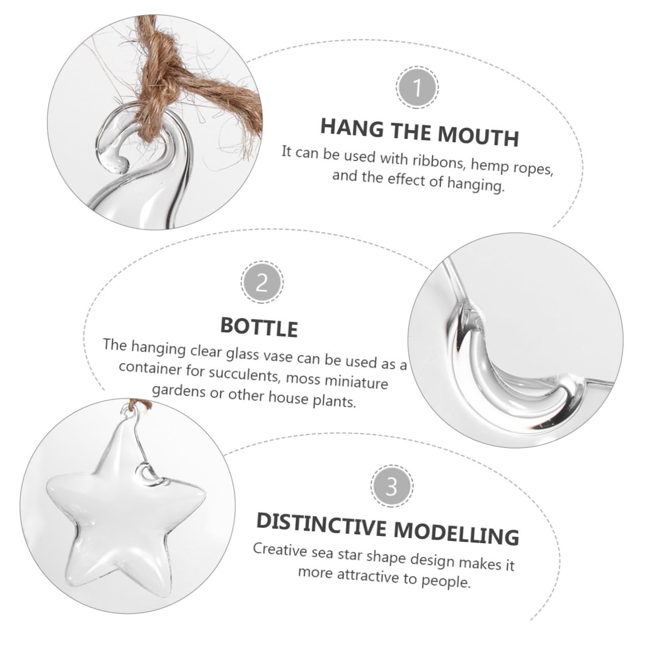 LIOOBO Terrarium Star Vase Elegant Hanging Planter for Home Office for Plant Lovers