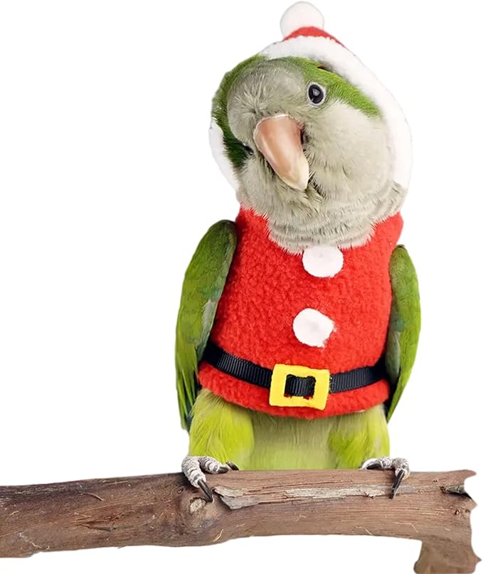 Bird Clothes Birds Flight Suit, Christmas Hoodie for Parrots Cockatiel Sun Conure Christmas Party Cosplay Photo Prop Bird Shirt Small Animals Apparel (with Diaper,African Grey)