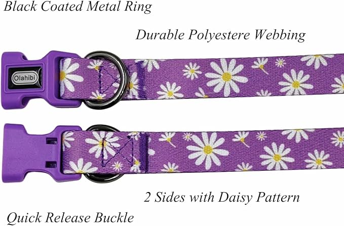 Dog Collar Leash Set, Floral Pattern, Polyester Material, Adjustable Collar and 5ft Matching Leash, for Large Dogs.(L, Purple Daisy)