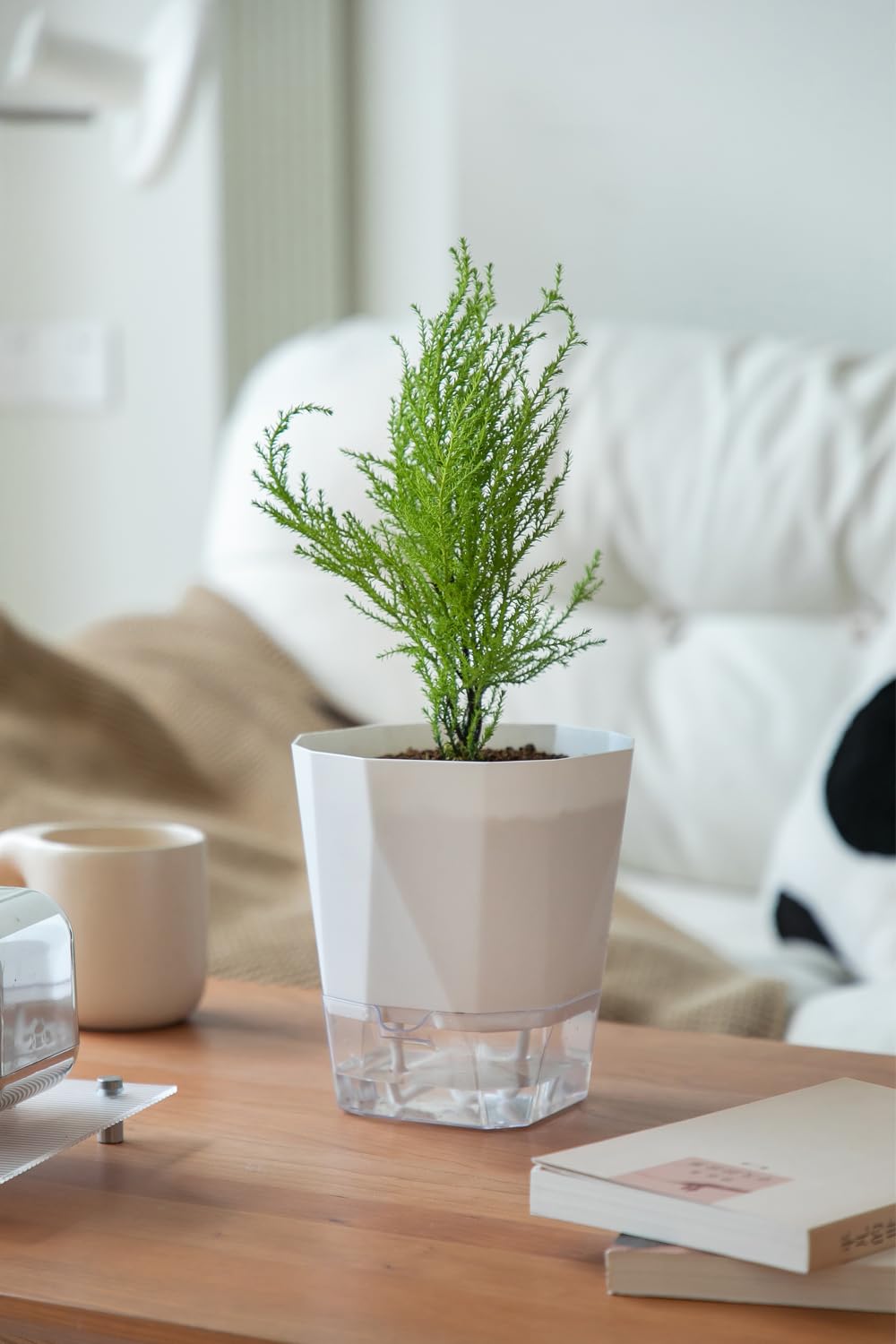 Qimodo 3 Pack 8.5/6.7/5 Inch Plastic Self Watering Indoor Planters,Modern Decorative Plant and Flower Pots for Succulents,Aloe,Herbs,African Violets,Peace Lily with Absorbent Rope,White
