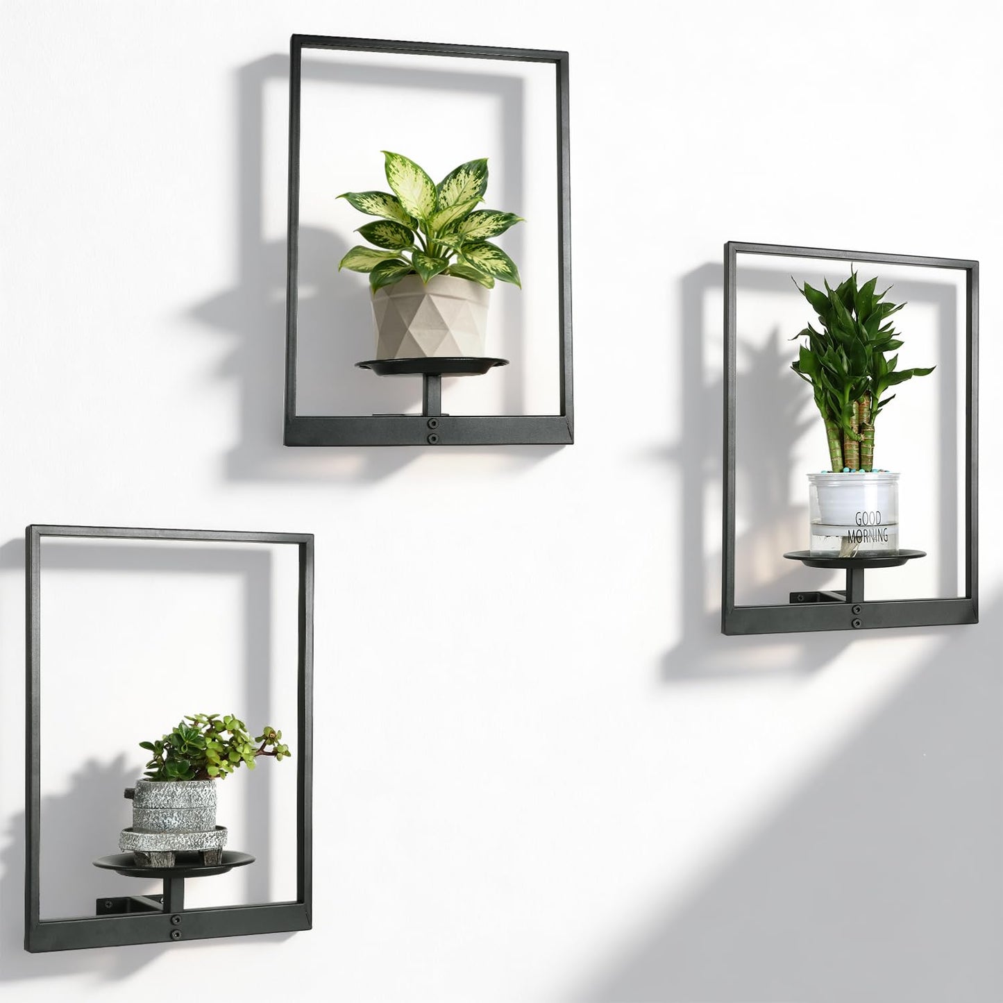 SUNLITOPTO Plant Wall Shelf, Metal Modern Style Frame, Picture Wall Plant Holder, Plant Frames for Living Space Decor Display Stand for Living Room Balcony Garden Patio (3 PACK(BLACK ))