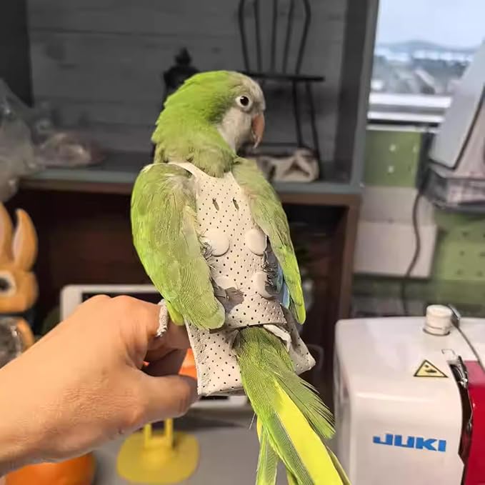 Premium Genuine Cowhide Bird Flight Harness Anti Bite Breathable Parrot Diaper Parrot Suit with Leash for Parakeet Conure Quaker Flying Clothes Rope and Handle (with Leash,X-Small)
