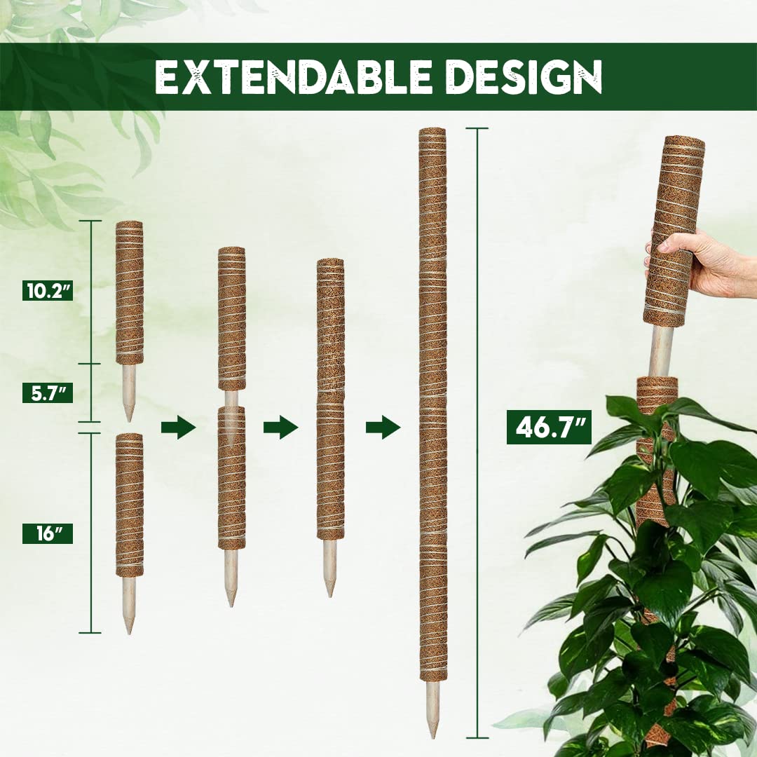 47.5 Inch Tall Moss Pole for Plants Monstera 4 Pcs 16 Inch Coir Totem Moss Pole Stick for Climbing Plants Indoor, Plant Support Extension/Trellis, Train Indoor Creepers to Grow Upwards 65ft Twist Tie.