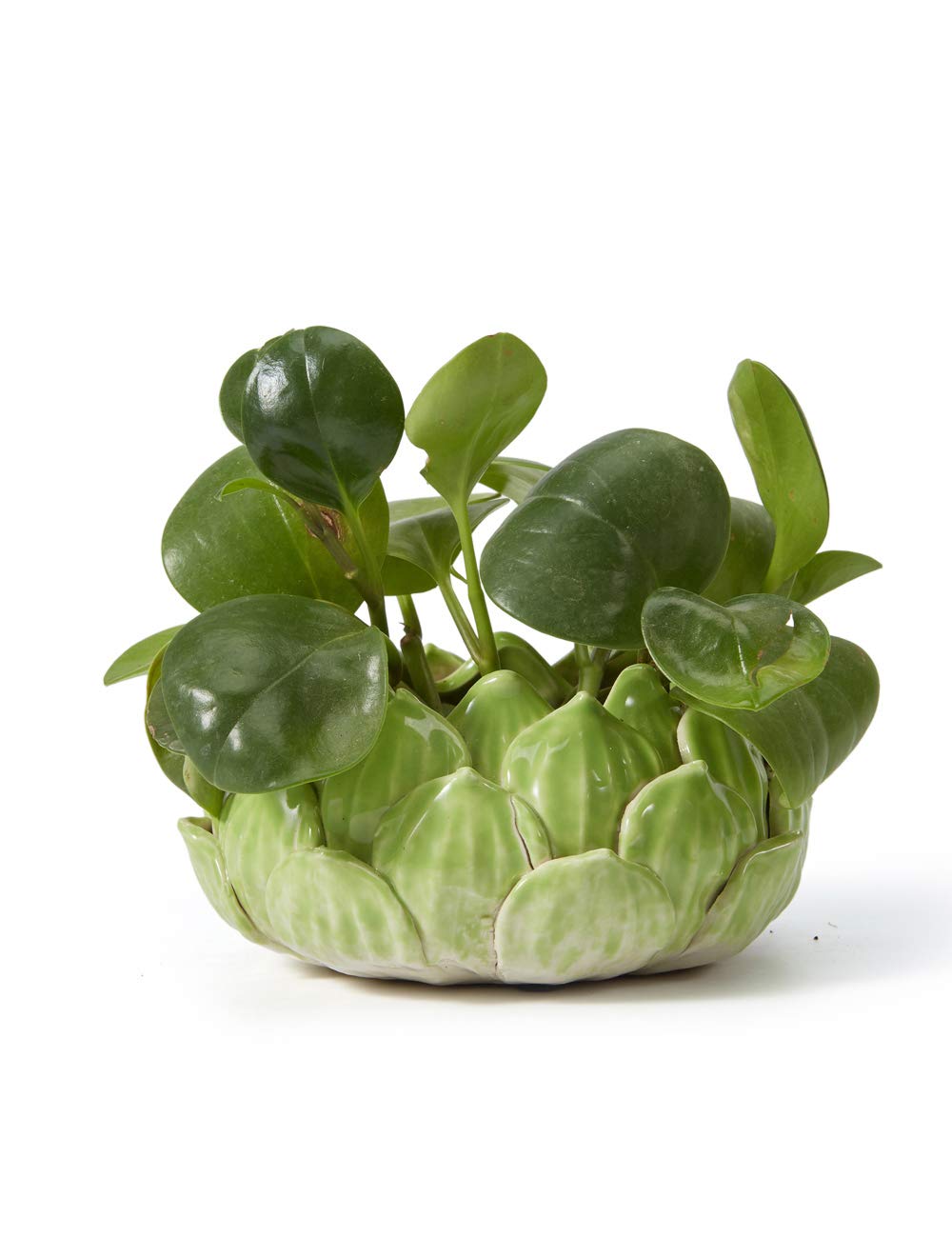 SEINHIJO Indoor Planter Ceramic Succulent Cactus Pot Flower Gift Modern Decor Art for Living Room Office Home Green 7.1inch