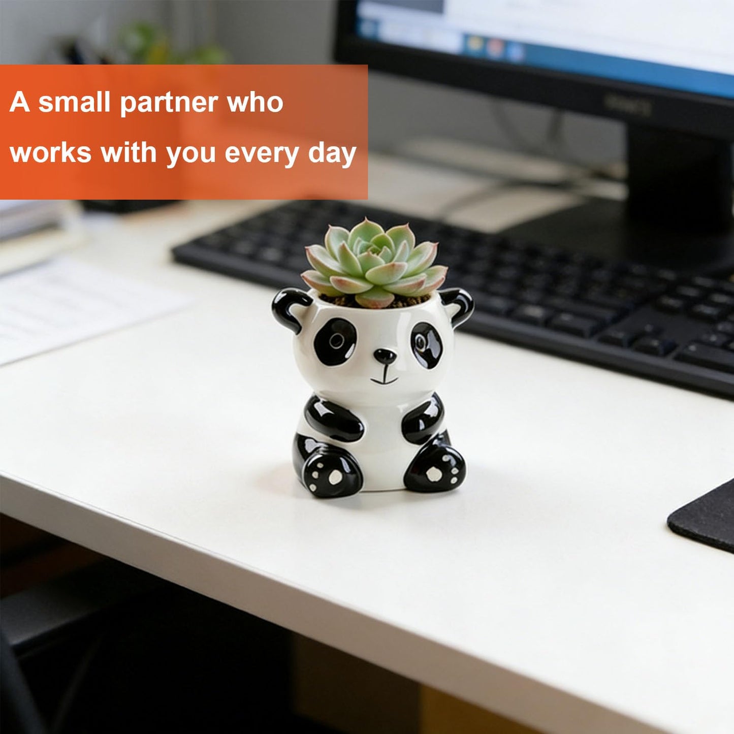 SYASDZHO Cute Animal Ceramic Succulent Planter with Drainage Hole - Mini Panda/Squirrel/Elephant Pot for Indoor Plants, Funny Desktop Decor Gift for Plant Lovers - Plants Not Included (Panda)