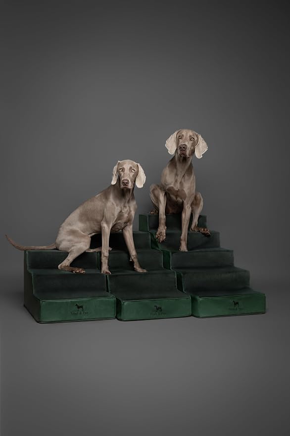 Noah & Paw Dog Stairs, Dog Ramp for Bed (17" Extra Wide) Pet Stairs for High Bed, Design to Fit Small and Large Breeds, Durable 4 Pet Steps for Couch (35 Foam Density) Leather Collection