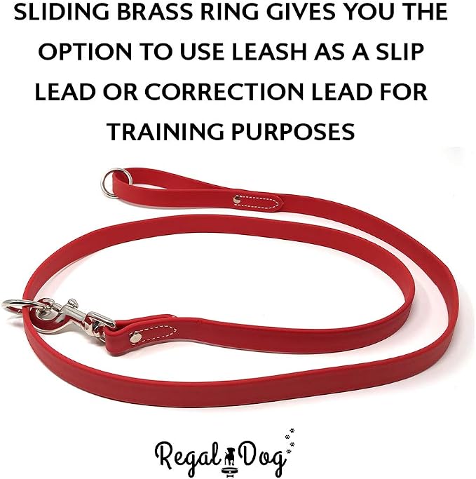 Regal Dog Products Small Red Waterproof Dog Collar and Leash Set | Heavy Duty Double Buckle & D Ring - 5'ft Leash | Adjustable Biothane Dog Collar | Chew Resistant Waterproof Collar for Dogs