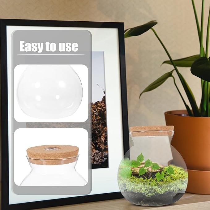 Hemobllo Small Fish Tank with LED Light, High Borosilicate Glass Betta Fish Tank for Desktop, Mini Aquarium Kit for Micro Landscape, 1 Gallon Ecological Bottle with Wooden Lid for Office