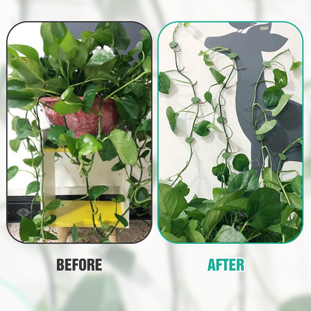 Plant Climbing Wall Fixture Clips, 60/100/150pcs Plant Vine Support Clips for Climbing Plants Vines, Removable Leaf Shaped Retainer Plants Training Wall Clip with Sticker for Indoor Decoration (60)