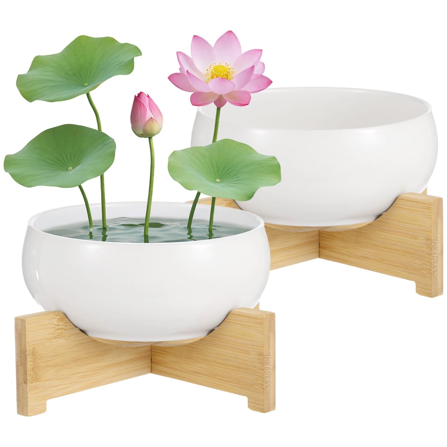 OMISTAR 2PCS Lotus Bowl Planters with Bases, White Ceramic Lotus Bowl, No-Hole Water Lily Pots for Planting Aquatic and Indoor Plants, Indoor Hydroponic Planters for Decor
