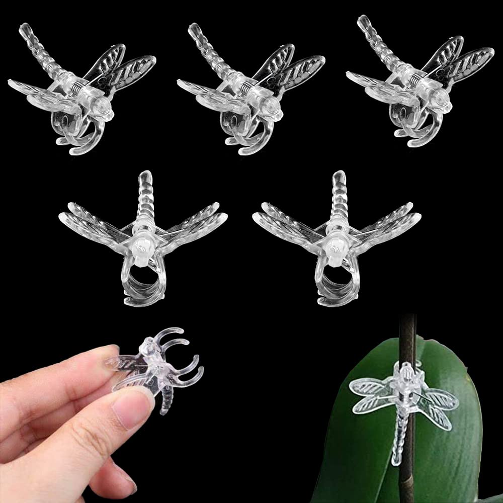 Watris Veiyi 100Pcs Plant Orchid Support, Garden Dragonfly Orchid Clips, Portable Cute Flower Vine Clips (Transparent)
