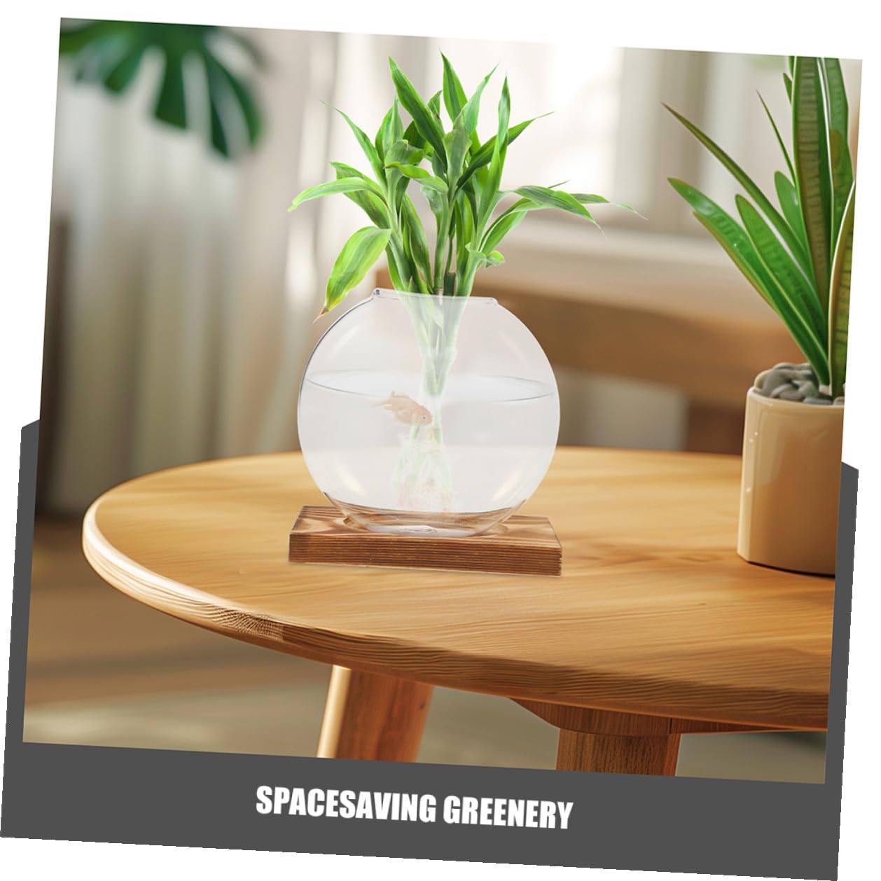 HYTROVE 2Pcs Hydroponic Glass Vase with Wooden Base, Propagation Planter for Indoor Plants, Desktop Terrarium Station for Home and Office Decor