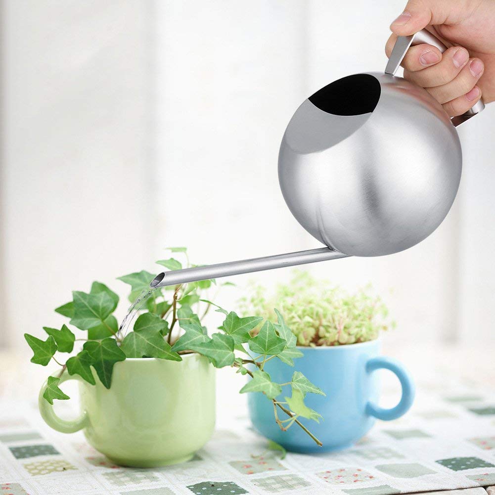 Fdit Watering Can for Indoor Plants, Stainless Steel, Long Spout, 1.0L, Silver, 11.42 Inch
