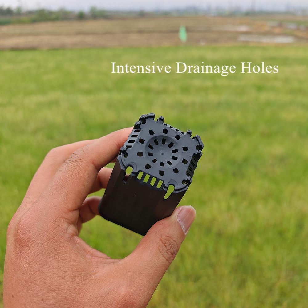 BangQiao 60 Pack 1.95 Inch Tiny Black Plastic Square Nursery and Seedling Pot, Mini Deep Transplant Seed Starter Planter with Drain Hole for Germination, Herb, Succulent