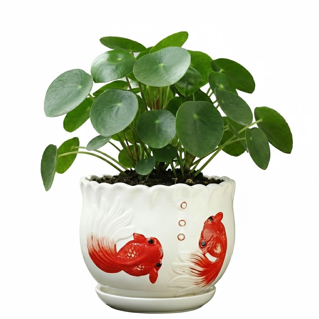 KinzhaoAuroia Ceramic Planter with Saucer - 3D Embossed Goldfish Design, Scalloped Edge Decorative Flower Pot for Indoor Outdoor Succulent Cactus, White Porcelain Plant Container with Drainage Hole