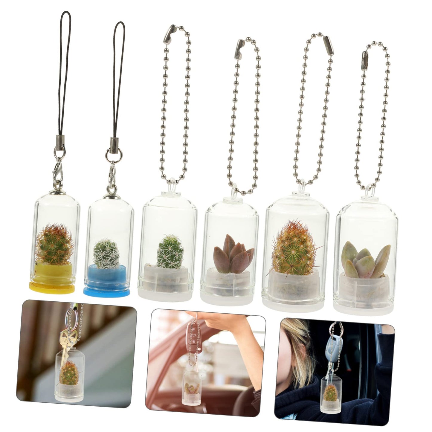 GALPADA 6pcs Key Chain Keychain Charm Keychain Accessories Decor Plants Plant Keychain Hanging Terrarium Large Home Keychain Vase Jar Clear Vase Car Miniature Hanging Planters Bulb Glass