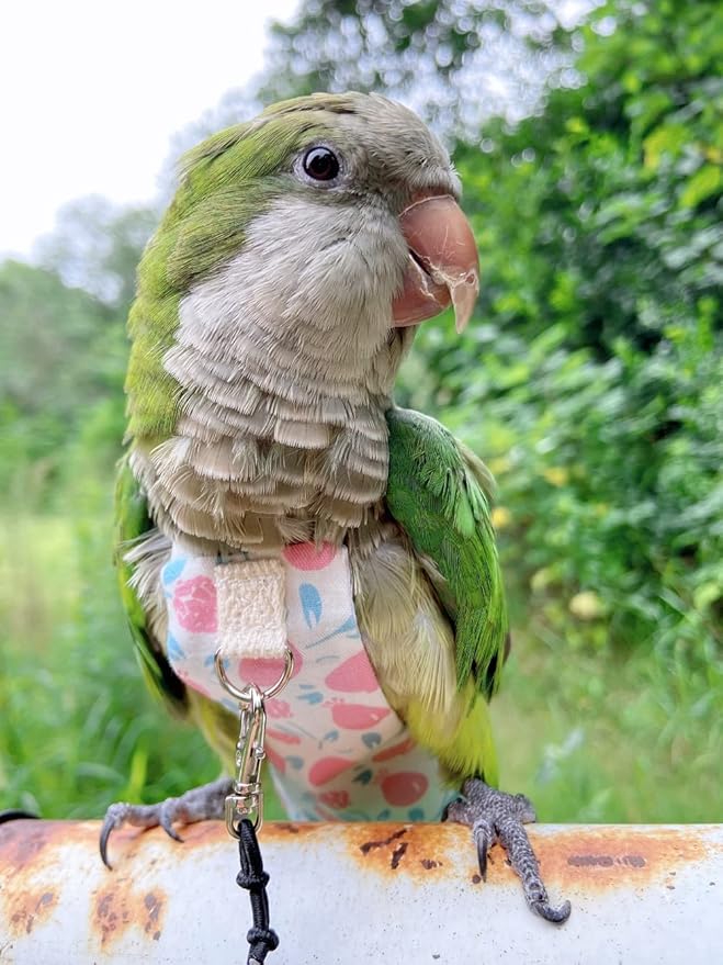 Bird Diaper Harness Flight Suit Clothes, Parrot Flight Suit with Leash, Bird Flying Clothes with Rope and Handle for Outdoor Activities Training (Pink Without Leash,Medium)