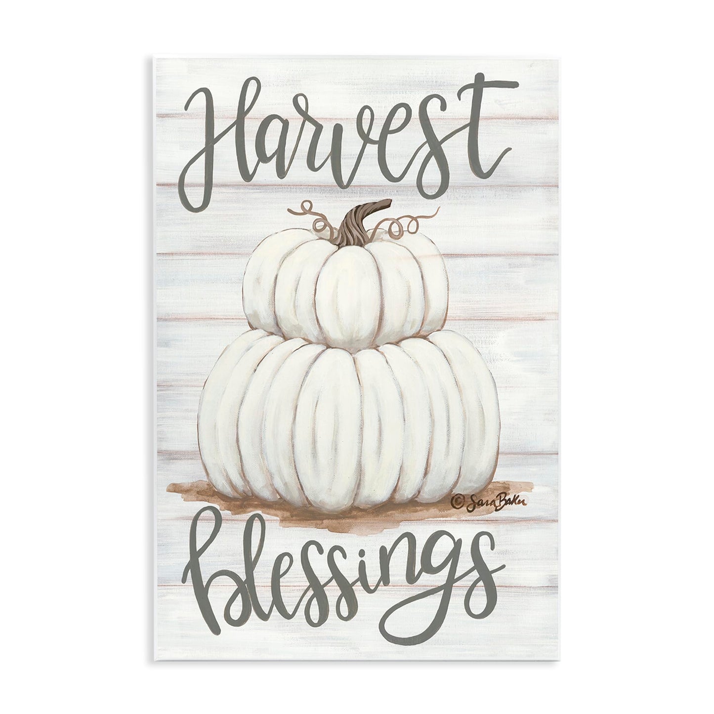 Stupell Industries 'Harvest Belssings White Pumpkins', Wall Plaque Art, 10 x 15 Inches, Easy to Hang and Sturdy, Made in USA, by Sara Baker