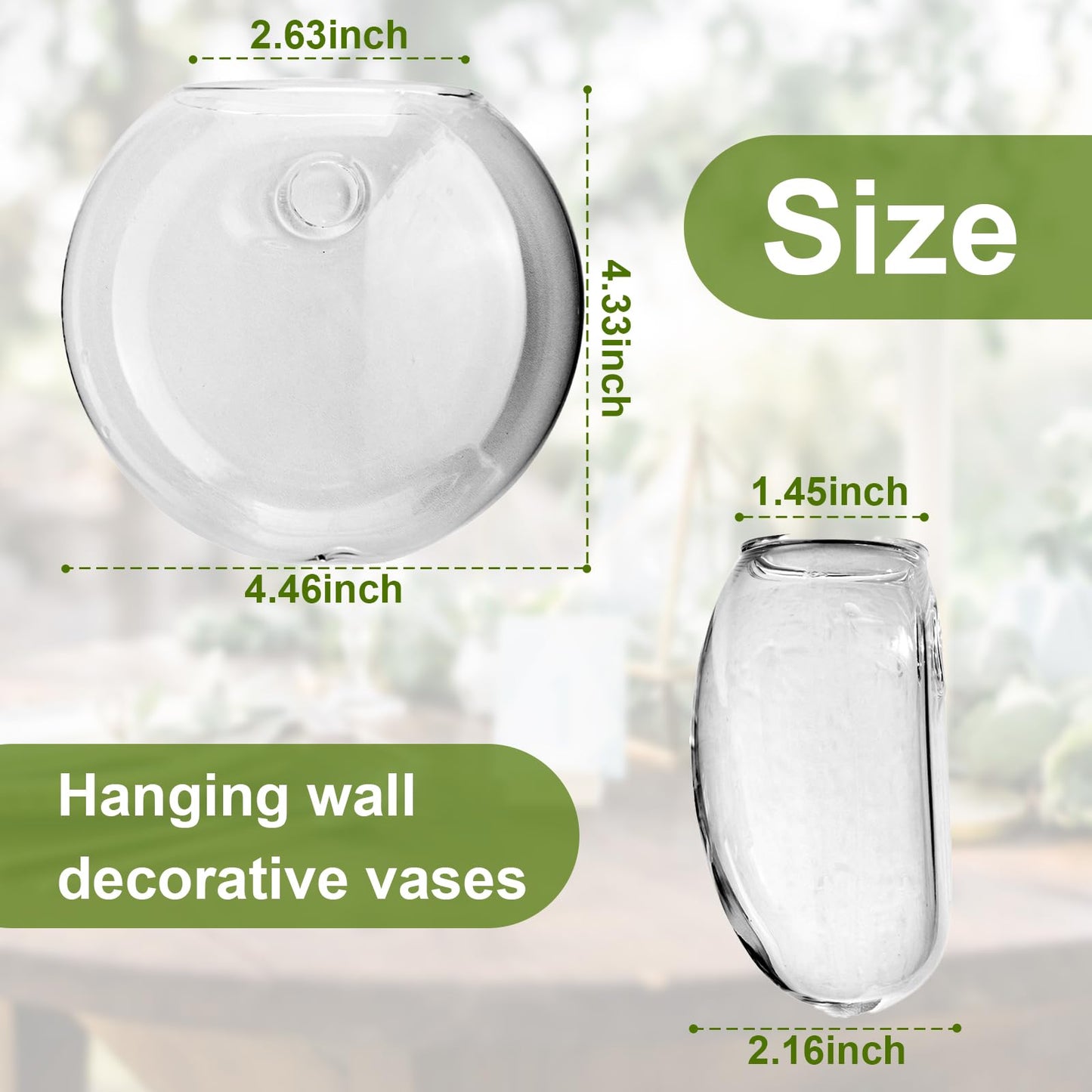 wangsdjy Wall Mount Plant Propagation Station - Clear Hydroponic Glass Vase, Oblate Planter for Indoor Plants | Perfect for Home, Office, Bathroom Decor | Gift for Plant Lovers (4)