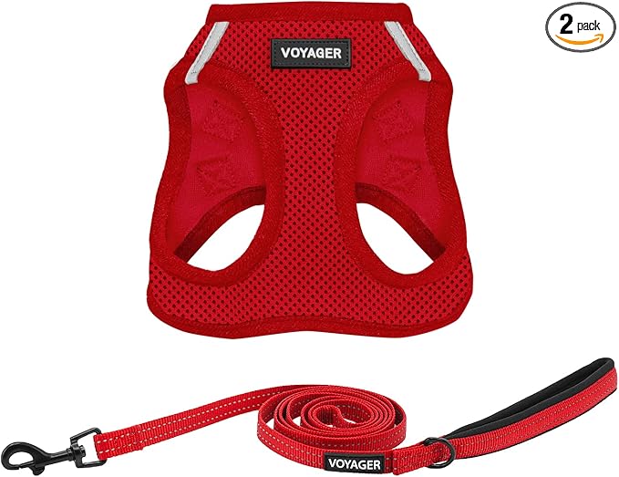 Best Pet Supplies Voyager Step-in Air All Weather Mesh Harness and Reflective Dog 5ft Leash Combo with Neoprene Handle, for Small, Medium and Large Breed Puppies - Red, X-Small