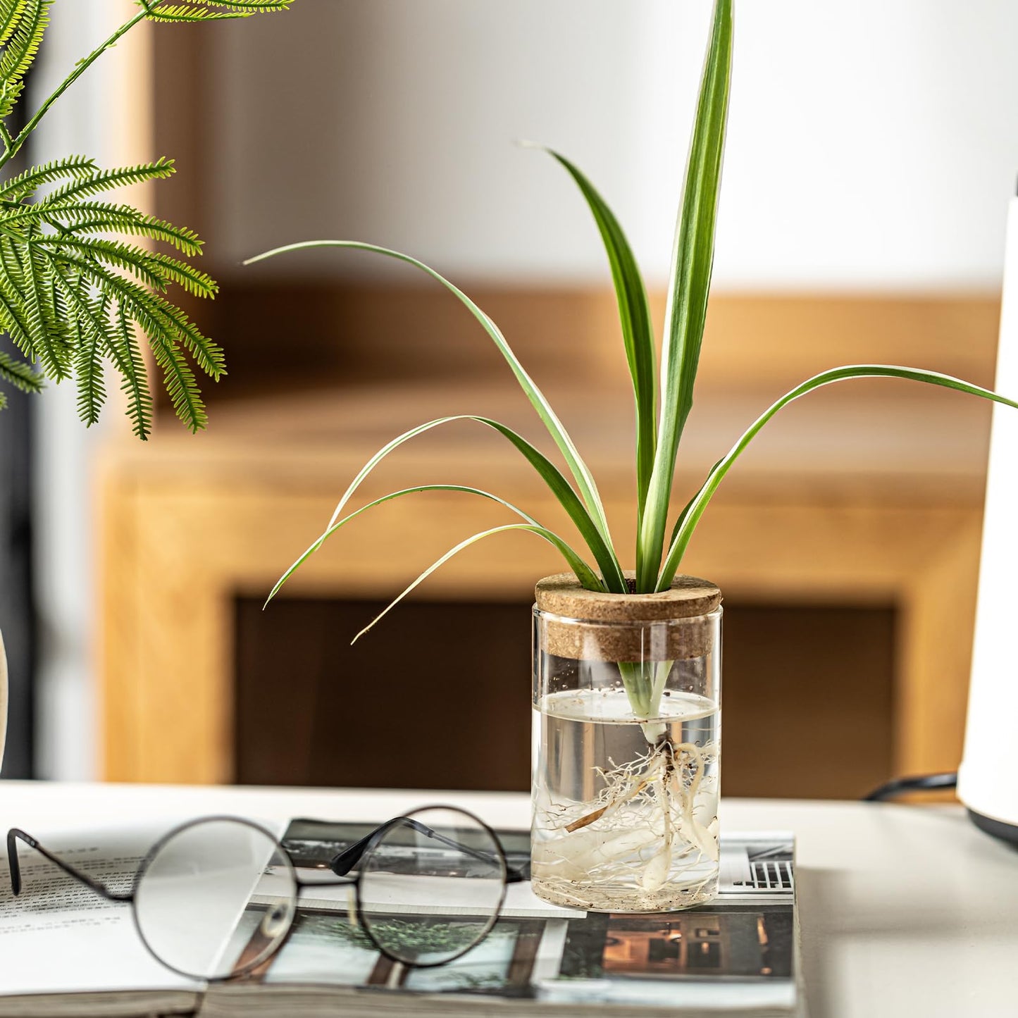 wangsdjy Separated Desktop Glass Flower Vases - Ideal Plants Propagation Stations for Living Room, Bedroom Decoration,Home Decor (4)