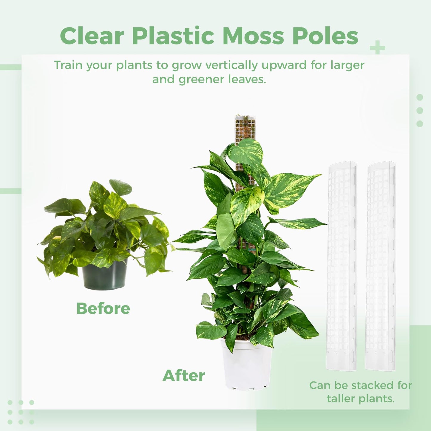 FunPa 4 Pcs Plastic Moss Poles, 24″ Clear Sphagnum Moss Sticks for Indoor Climbing Plants, Stackable Hollow Plant Supports with 10ft Ties, Plant Moss Poles for Monstera, White