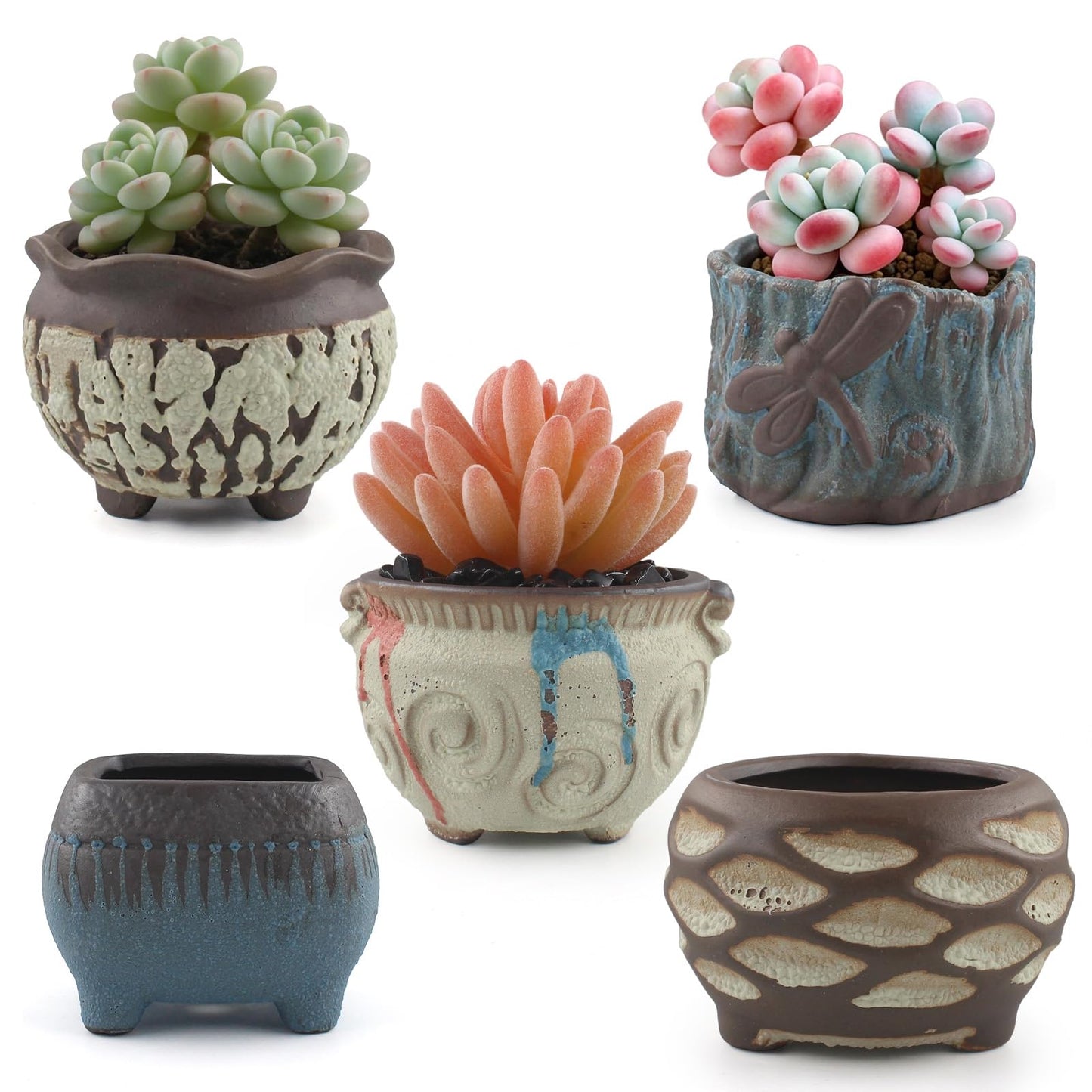ginojex Ceramic Garden Pots Succulent Plant Planter Container with Drainage Set of 5 Small for Home Office Decor