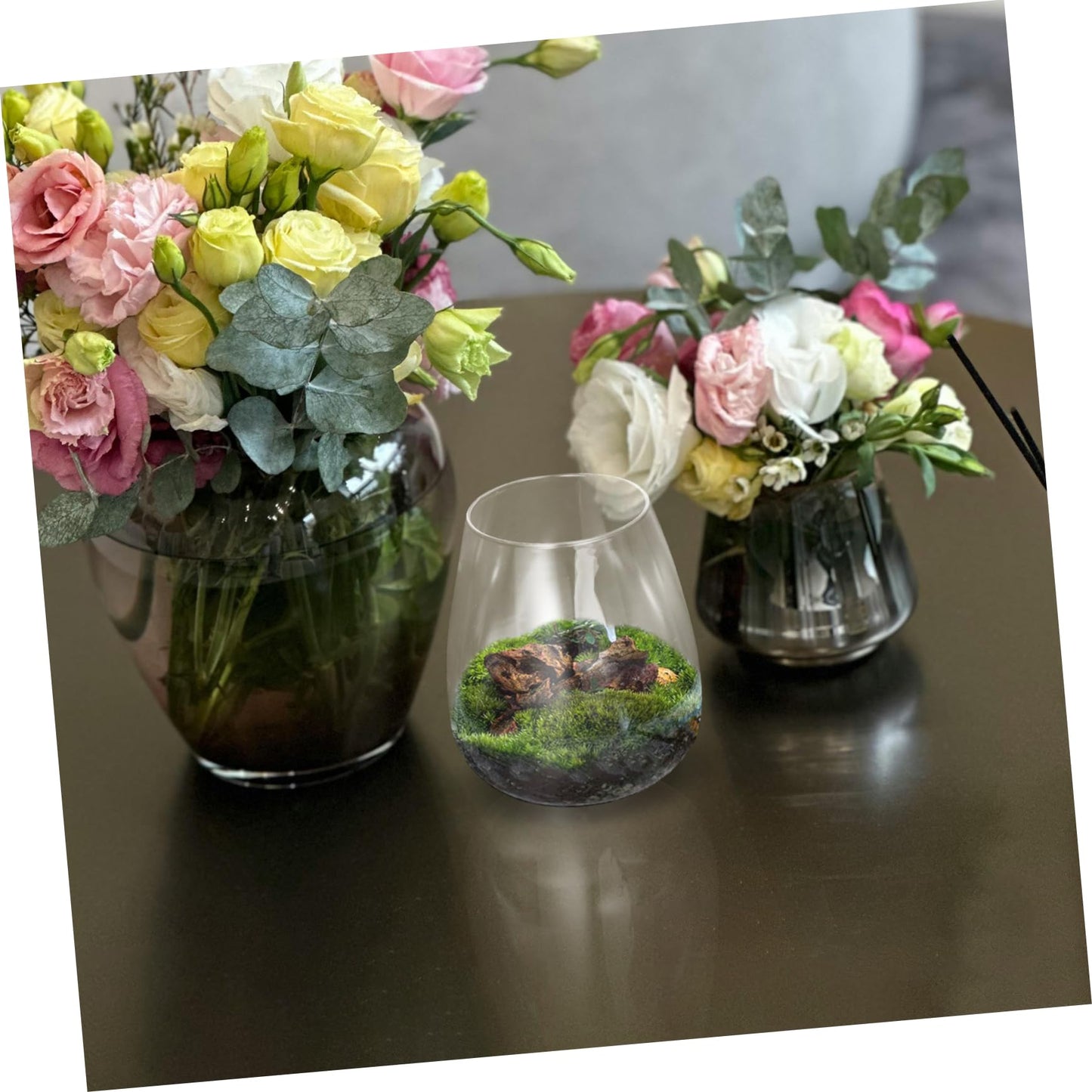 Yardenfun Hydroponic Glass Terrarium for Indoor Decor Moss Plant Container Sustainable Glass Landscape for and Centerpieces