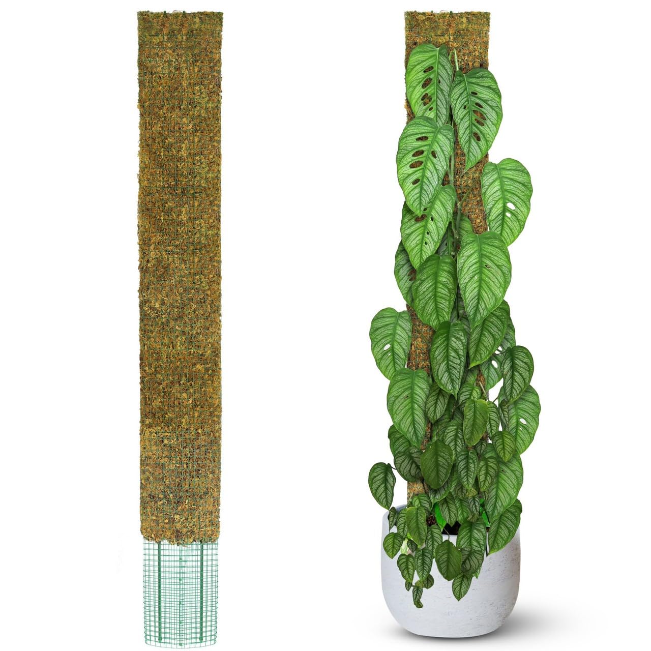 DUSPRO 59’’ Flat Mesh Moss Poles for Climbing Plants Monstera Flat Stacks for Tall Plant with Real Moss Moss Pole for Indoor Plants Plant Stick Support Tall Indoor Plants Support Stakes (1pc., 59'')