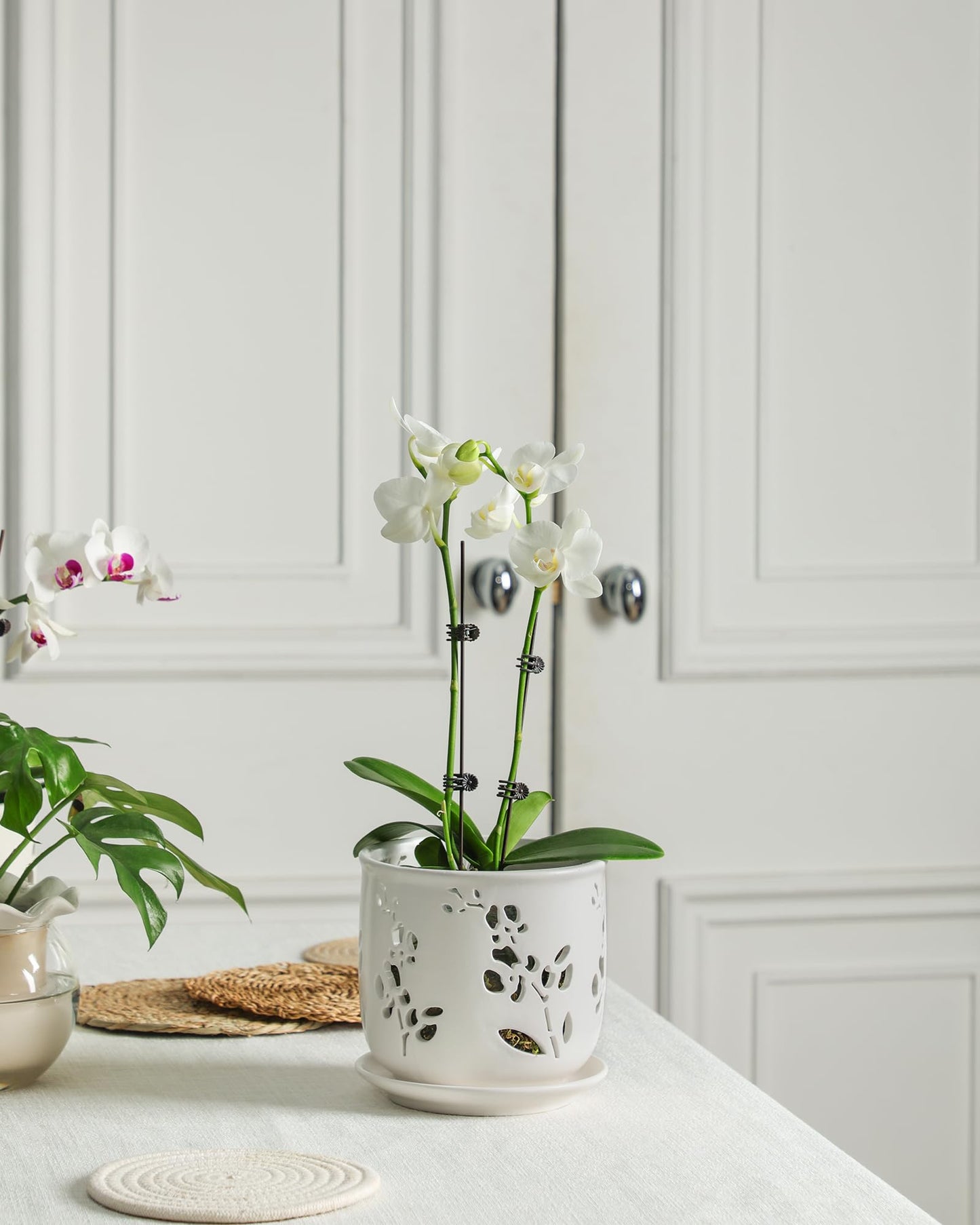Fayoula Orchid Pots 6.5 Inch Large with Drainage Holes Ensuring Healthy Growth & Easy Repotting, Premium Ceramic for Indoor and Outdoor, Perfect Home Thriving Orchids。