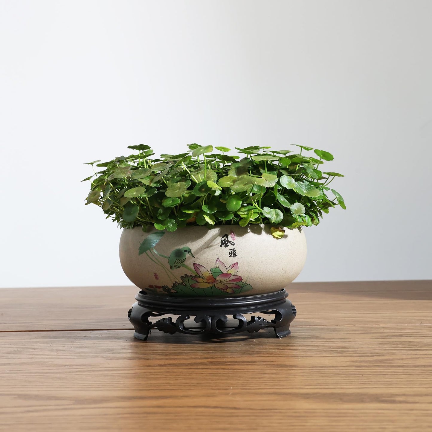 TOIVO Lotus Bowl Planter, Coarse Pottery Water Lily Flower Pot with Plastic Base, 7.8 inches (B-3)