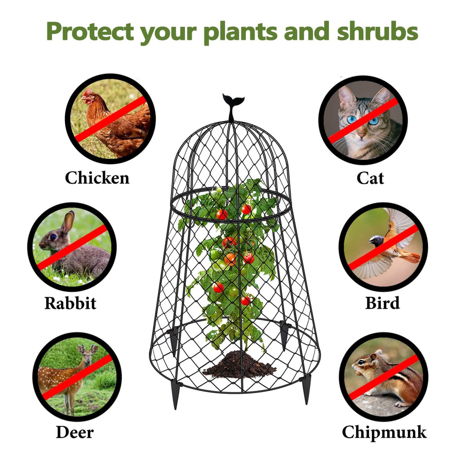 TAOMENNI 6 Packs Garden Cloches for Plants, Plant Protectors from Animals, Chicken Wire Cloche, Plant Cloche and Cage, Protection for Your Plants and Seedlings, 13" D x 20" H - Black