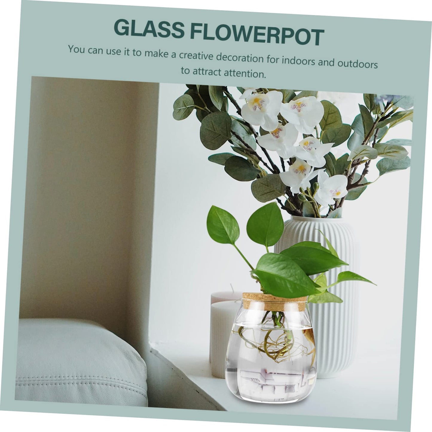 MAGICLULU 2pcs Glass Plant Terrarium Holder for Desktop Decor Moss Plant Bottle for Indoor Greenery Transparent Watering for