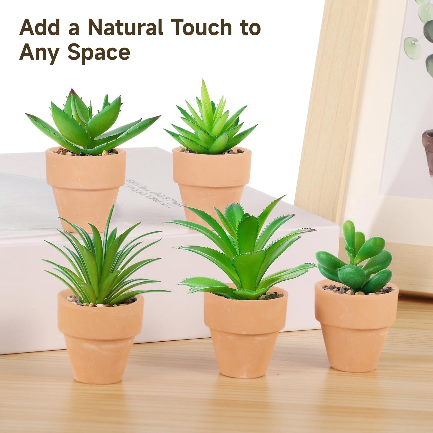 50 Pcs Mini Terracotta Pots, 1.2" Succulent Nursery Pots with Drainage Holes, Miniature Cactus Flower Planters, Tiny Clay Terra Cotta Pots for Indoor Outdoor Plants, DIY Crafts (50PCS)