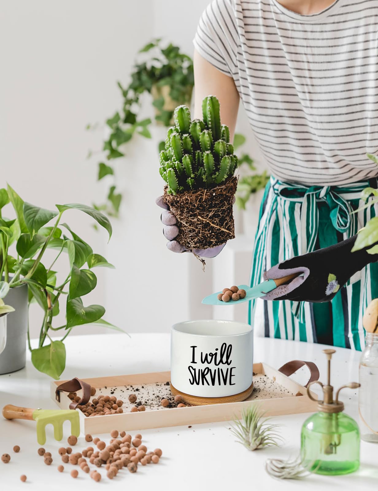 WHING 3.5 Inch Mini Succulent Planter Pot, I Will Survive Funny Engraved White Ceramic Cactus Pot with Bamboo Tray, Indoor Flower Plant Pots for Home Office Windowsill Decor Gift, Plant Not Included