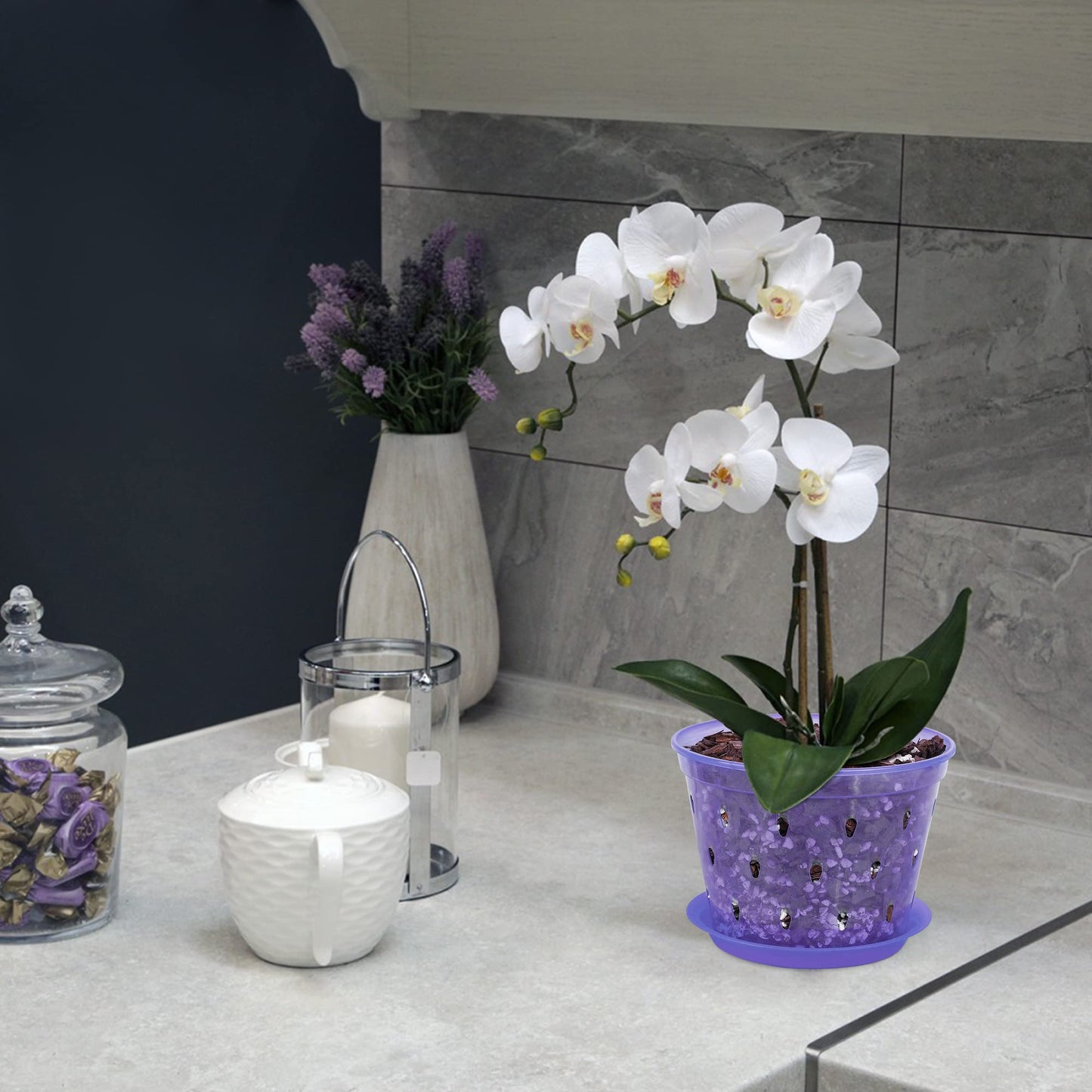 lanccona Orchid Pot, 6.7 Inch 8 Pack Orchid Pots with Holes and Saucers,Plastic Orchid Planter - Purple Amethyst