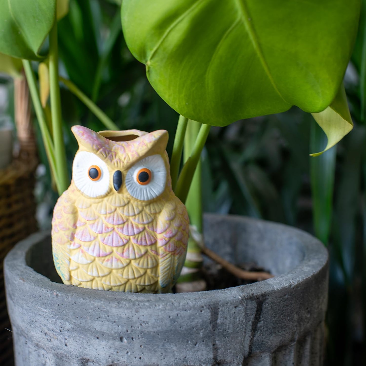 HORTICAN Owl Shaped Self-Watering Spikes - Effortless Plant Care for Your Garden, Whimsical and Charming Design for Indoor and Outdoor Plants, Keep Your Plants Hydrated While on Vacation