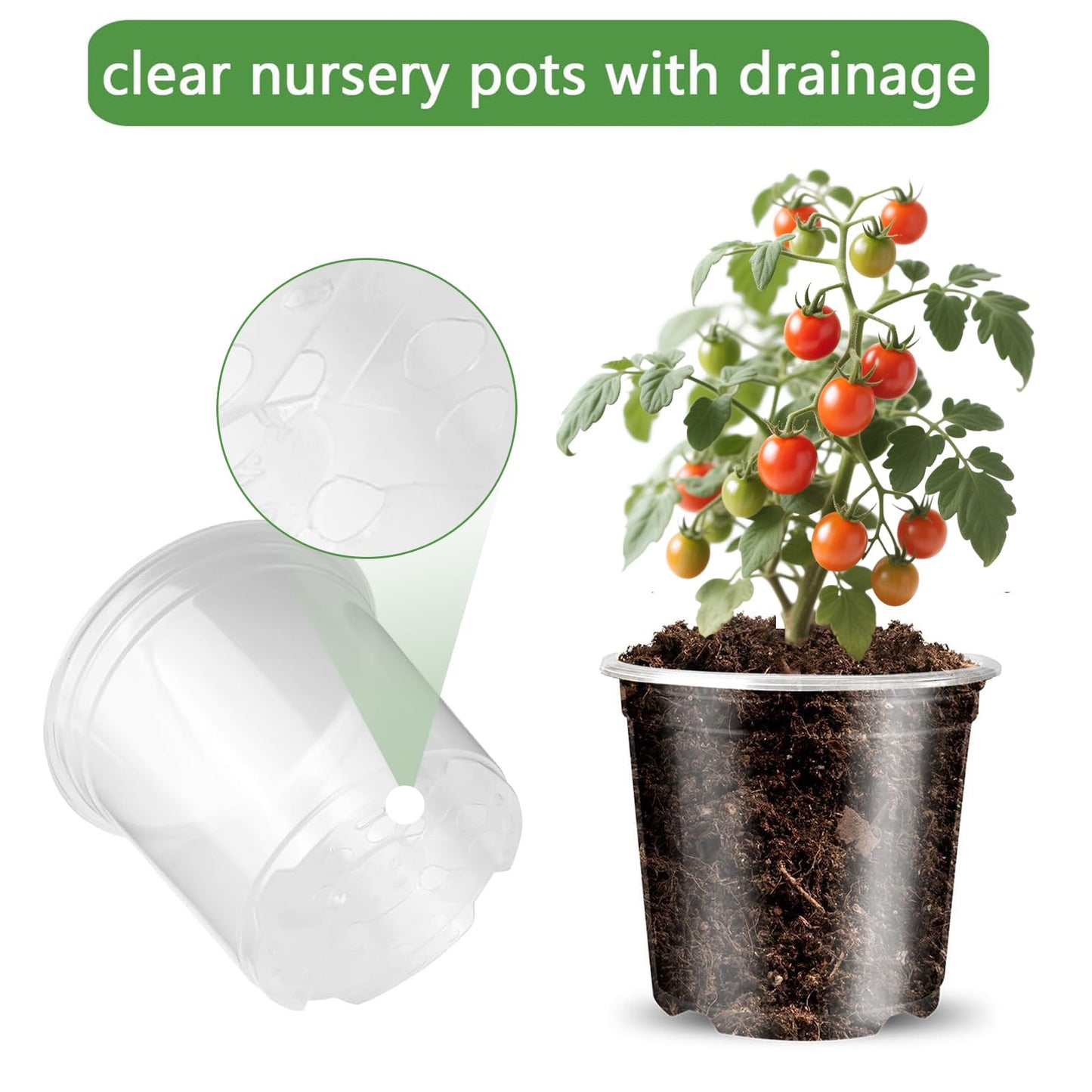GLNHUR Transparent Plant Pot with Drainage Holes, Flower/Seed Starter Pots,Clear Plastic Nursery Pots for Plants with Plant Labels+Saucers+Mesh Pads+Marker (6 inch * 15)