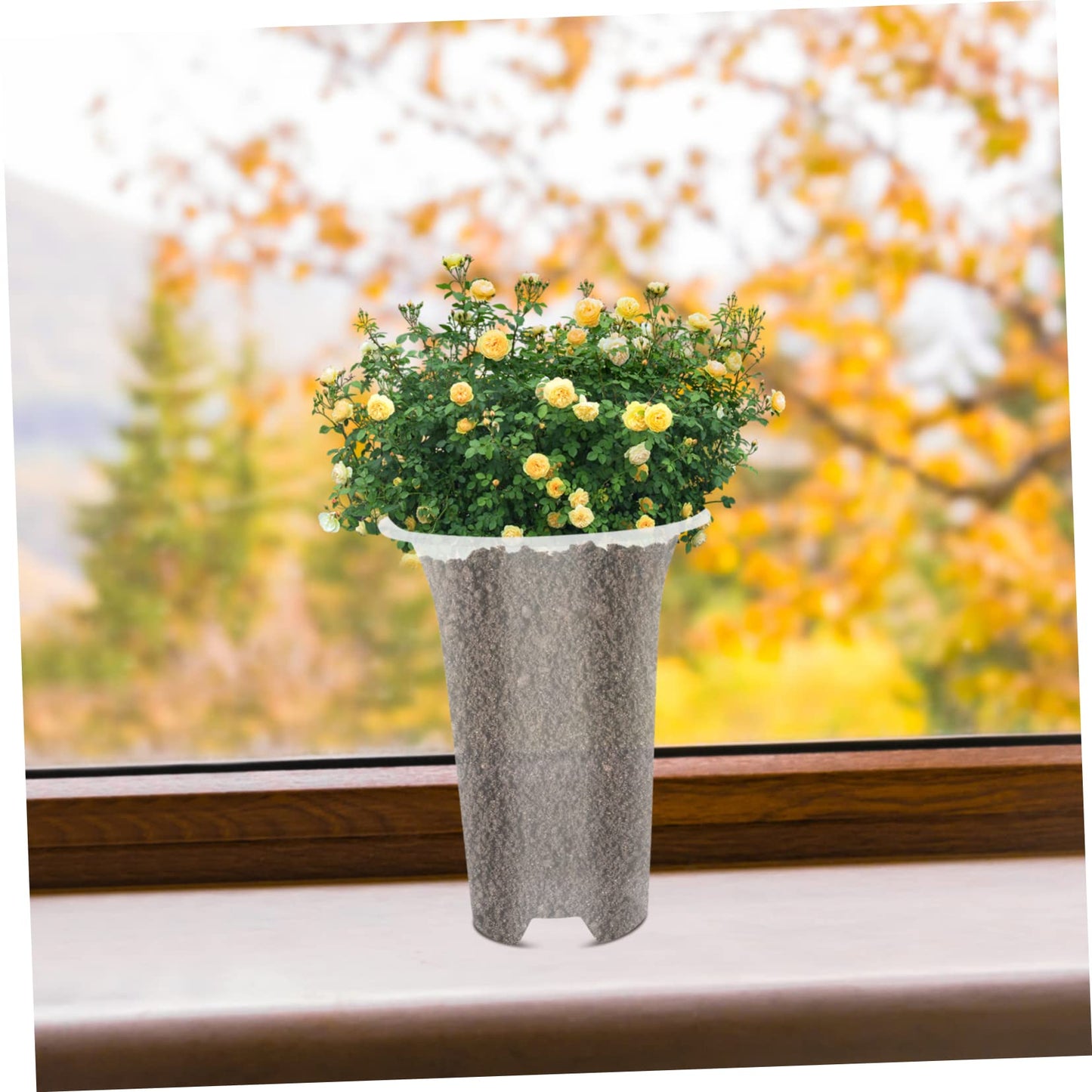 Gogogmee 5Pcs Orchid Planting Pots with Drainage Holes Plastic Flower Pots for Indoor Outdoor Gardening and Transplanting Versatile Plant Containers 5X7.67X2.75 Inch