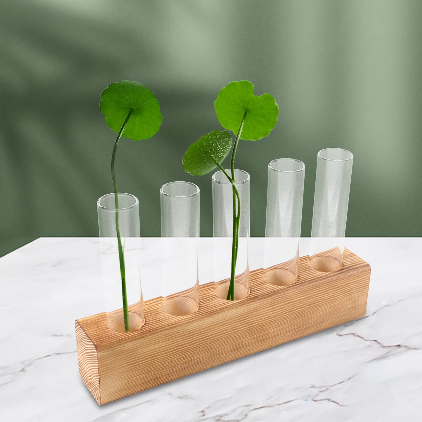 BESPORTBLE Desktop Hydroponic Glass Vase with 5-Hole Wooden Stand for Indoor Plant Propagation and Tabletop Terrarium Centerpiece