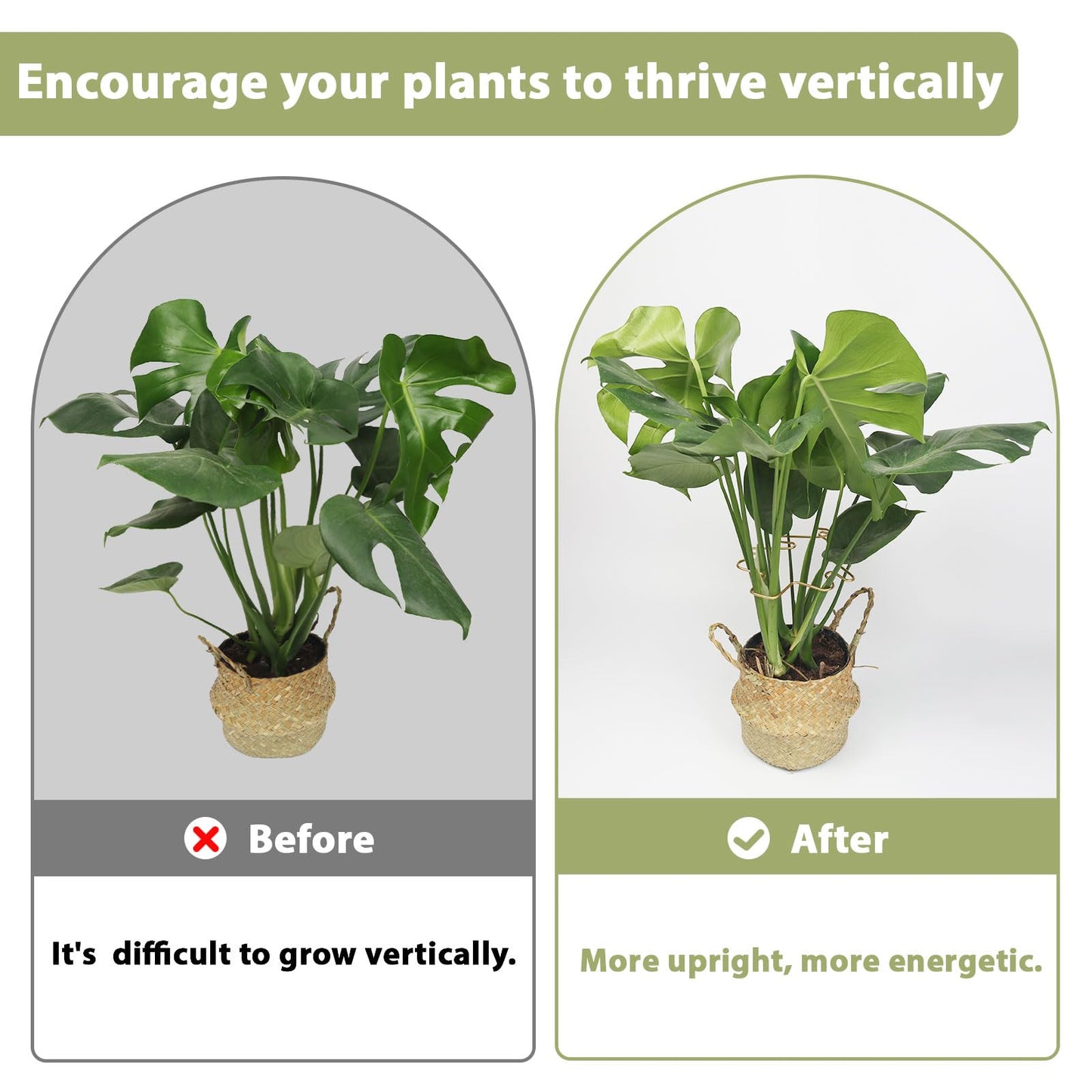 PRETTY JOLLY 5PCS Iron Monstera Plant Support Stakes Premium Plant Stand for Indoor & Outdoor Plants Practical Leaf Holders,Durable Trellis Accessories for Gardening Enthusiasts(Tree+Butterfly)