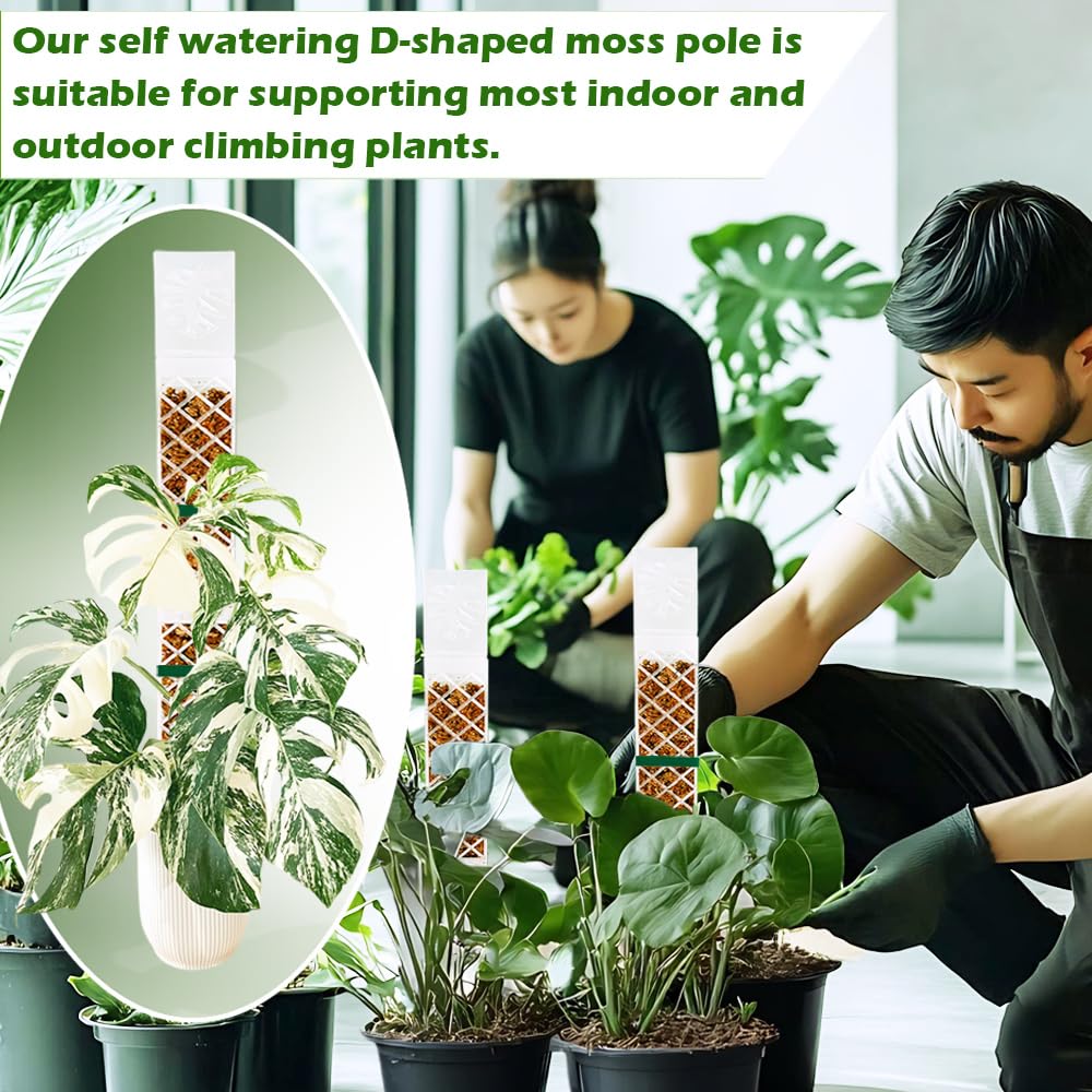 MIIIM 6 Pcs Self-Watering Moss Poles, D Shape Moss Pole Kit for Climbing Plants Indoor, Semi Transparent Monstera Plant Support, 69 Inches in Total Length