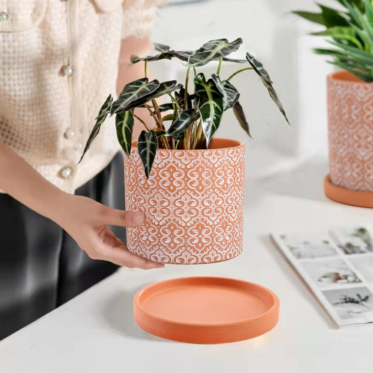 Frcctre 2 Pack Terracotta Pots for Plants, 5 Inch Succulent Planter Pot with Drainage Hole and Saucer, Clay Pottery Pots for Indoor Plants, Cactus, Succulent, Herbs