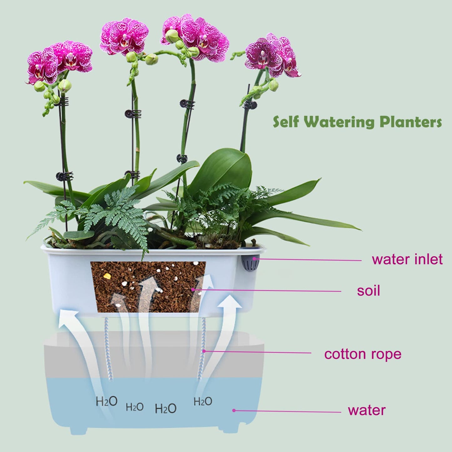 5 Pack Rectangular Planter 11.8 x 4.6 in Self Watering Planter Window Sill Planters Indoor Rectangle Planter Self Watering Pots Plastic Plant pots for African Violet Flower Orchid (Clear, 5)