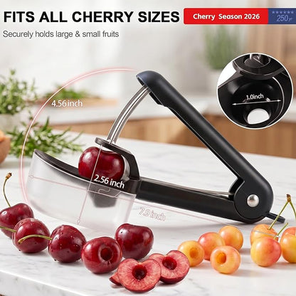 Cherry Pitter Tool Cherries Pitter Stainless Steel Rod for Making Cherry Jam with Lock Design(Black)